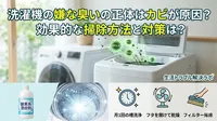 洗濯機の嫌な臭いの正体はカビが原因？効果的な掃除方法と対策は？